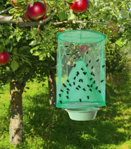 Reusable Fly Trap E01